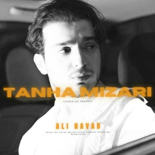 علی نواب تنها میزاری