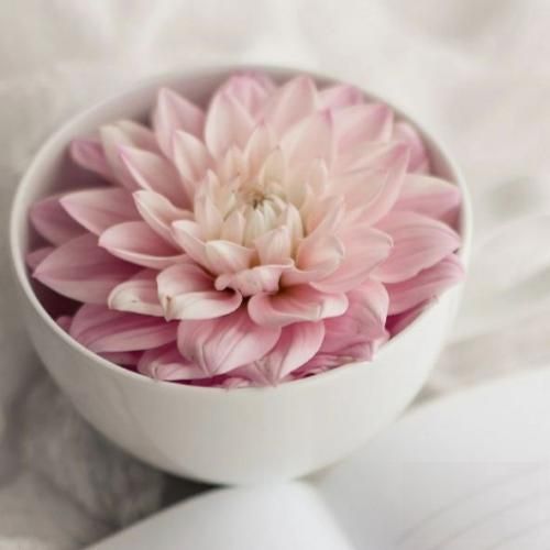 دانلود آهنگ اون که موهاش زرد عقدیه اون خوبه ها ولی کدیه دانلود آهنگ اون که موهاش زرد عقدیه اون خوبه ها ولی کدیه