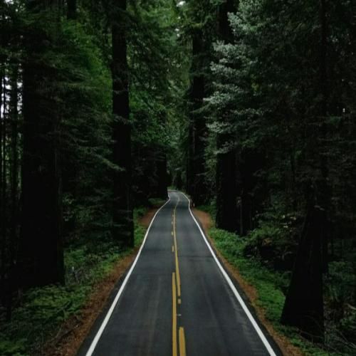  اوضاع هرچقدر بده من قوی تره از دلم کبدم