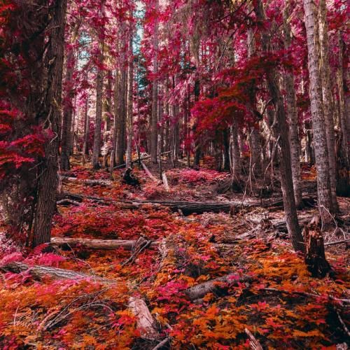 دانلود ریمیکس اصن کی فکرشو میکرد کی این طوری سردشی