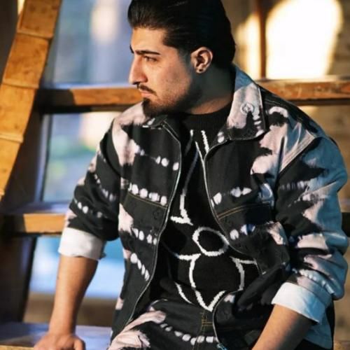 دانلود آهنگ ذوق مکنی تا برات گل میگیرم از امیر لیام