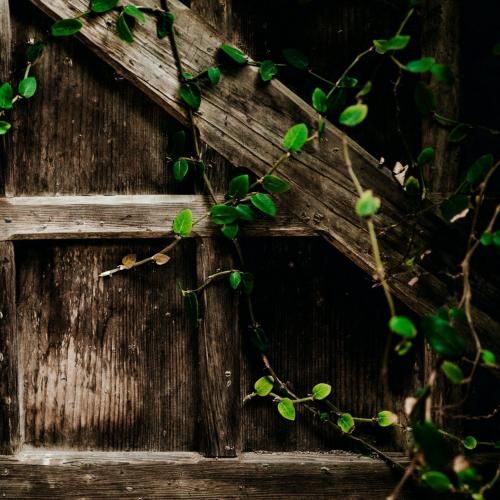 دانلود ریمیکس بی حس شدم نامبه نامب همه خیره رو من شدن