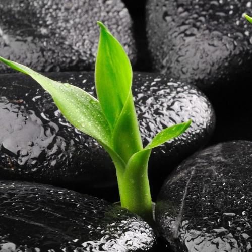 دانلود آهنگ گفتم یه کاری کن لاو تنهام گذاشت بی وجدان