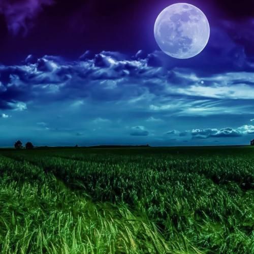  آسمون مال خودته برار این که دلم ریخت