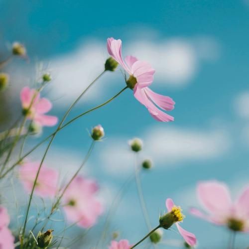 دودمانت به باد میره دهن ما واشه