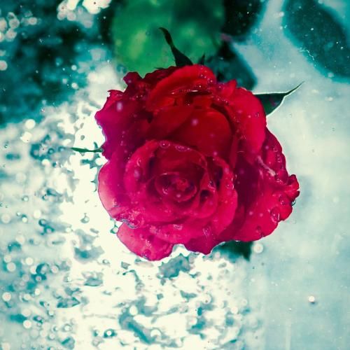 دانلود ریمیکس بمردمه مار از فاطمه عطایی