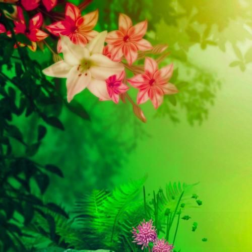  کاش دود نمیکرد ابری ریه مو نمیشدم پشیمون