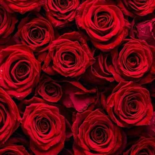  سپهر من کجایی بابا بیا خونه گریه میکنه مامان