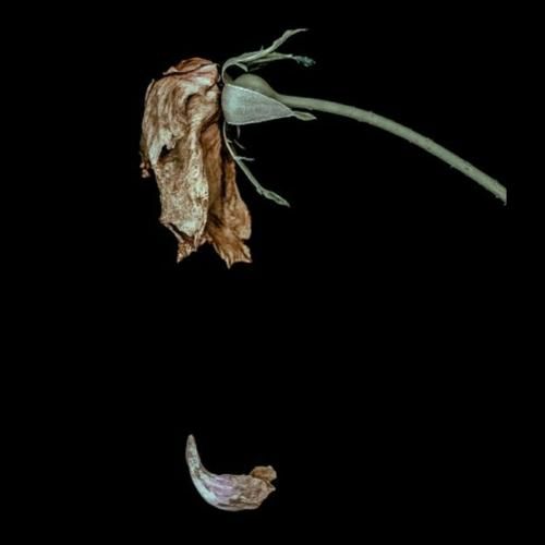 دانلود ریمیکس داد میزنه سپهر من کجایی بابا کی این جنایتو از یاد میبره