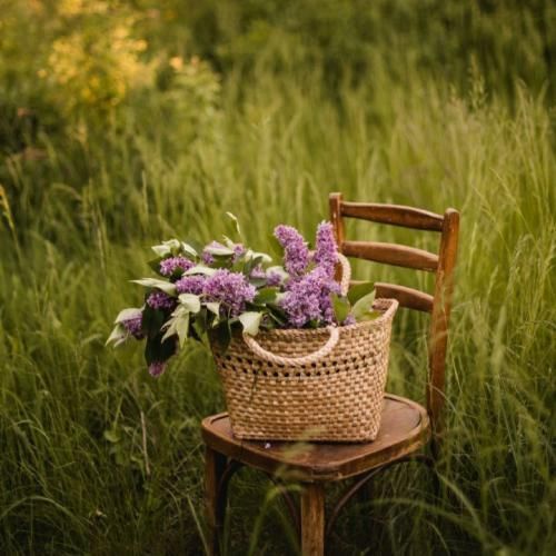 گو من مکن ظلم و بدی وا وا وا (ترند اینستا)