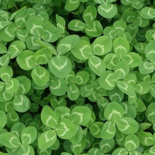 دانلود ریمیکس ندید مارو خدا انگار مگه نگفتی خودتو به خدا بسپار