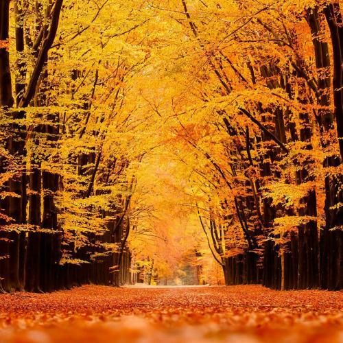  در کشور آتش زده در خانه ی ویران با صدای دختر