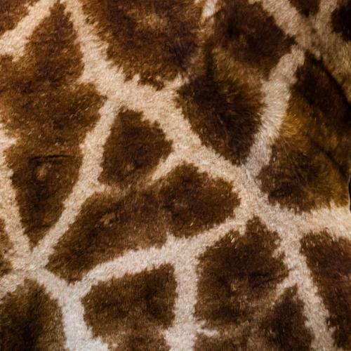  یادمه هنوز دادا بعد سه سال از کشوری میخونم