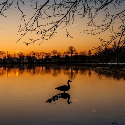 دو دست یافتم رو اسب تاختم کاخ هارو سوزوندم