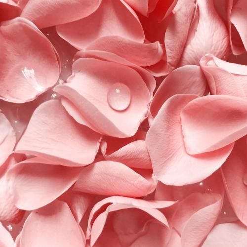 دانلود آهنگ شلوغه سرش ولی باهام تا پنج بیداره با کاراش