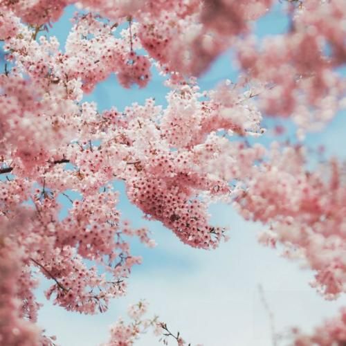 دانلود ریمیکس کارد فرو نمیره تو قلب سنگی اهل جنگیم