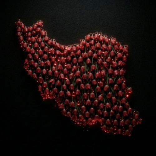 شروین حاجی پور ایرانم