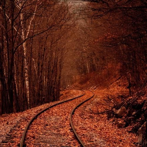  میده واسه ی تو هر شب رد خاطراتو کشیدم