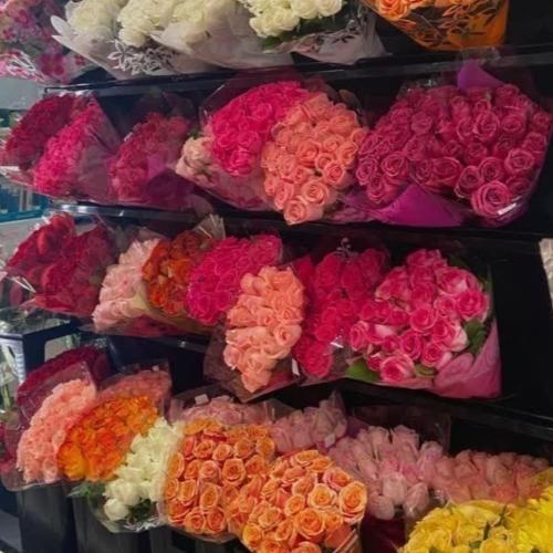 ای وای دنیا چی رقم شد دل من شکست با صدای زن
