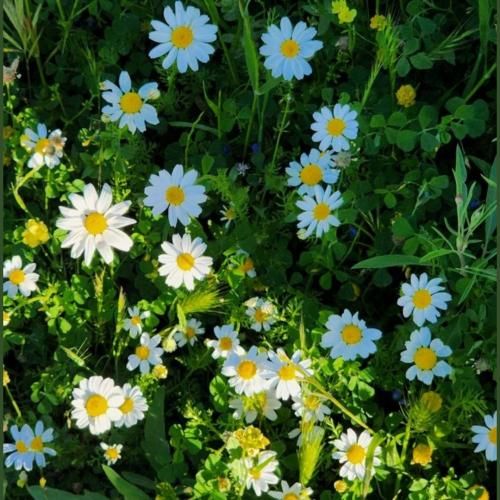 ساعتی که بهم دادی دیگه کار نمیکنه ولی جدا نمیکنم