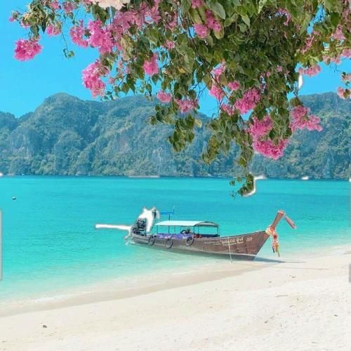 تاسوعا میریم همه کربلا تاسوعا خوش میگذره (ترند اینستا)