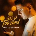 تو‌ زرد شهاب ملکیان