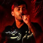 ممنونم ازت مرتضی باب
