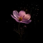 تو آن جا که تویی کس را گذر نیست با صدای زن (هوش مصنوعی)