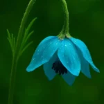آره خودم فداتم فدای اون چشاتم با صدای زن (هوش مصنوعی)