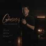 قصاص پارسا محمدی