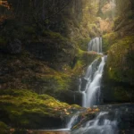 کیه از تو نخونه کیه با تو نمونه (هوش مصنوعی)