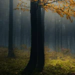 سینه زن سر خاکتم من دنبال بلیت حج