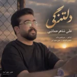 دانلود آهنگ جدید دلتنگی از علی شاهرحمانی