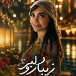دانلود آهنگ جدید دلبر زیبارو از فاطمه عطایی