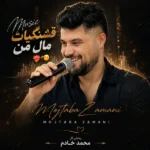 دانلود آهنگ جدید پرواز از مجتبی زمانی دانلود آهنگ جدید پرواز از مجتبی زمانی