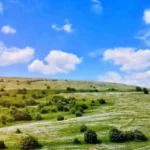 دانلود آهنگ جدید میون ایلوم از ستایش صادق زاده