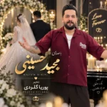 دانلود آهنگ جدید عروس دوماد از مجید حسینی دانلود آهنگ جدید عروس دوماد از مجید حسینی
