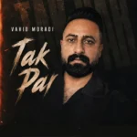 دانلود آهنگ جدید تک دار از وحید مرادی