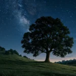 دانلود آهنگ جدید سرم بازار مسگرهاست دلم در چنگ بربرهاست (هوش مصنوعی) دانلود آهنگ جدید سرم بازار مسگرهاست دلم در چنگ بربرهاست (هوش مصنوعی)